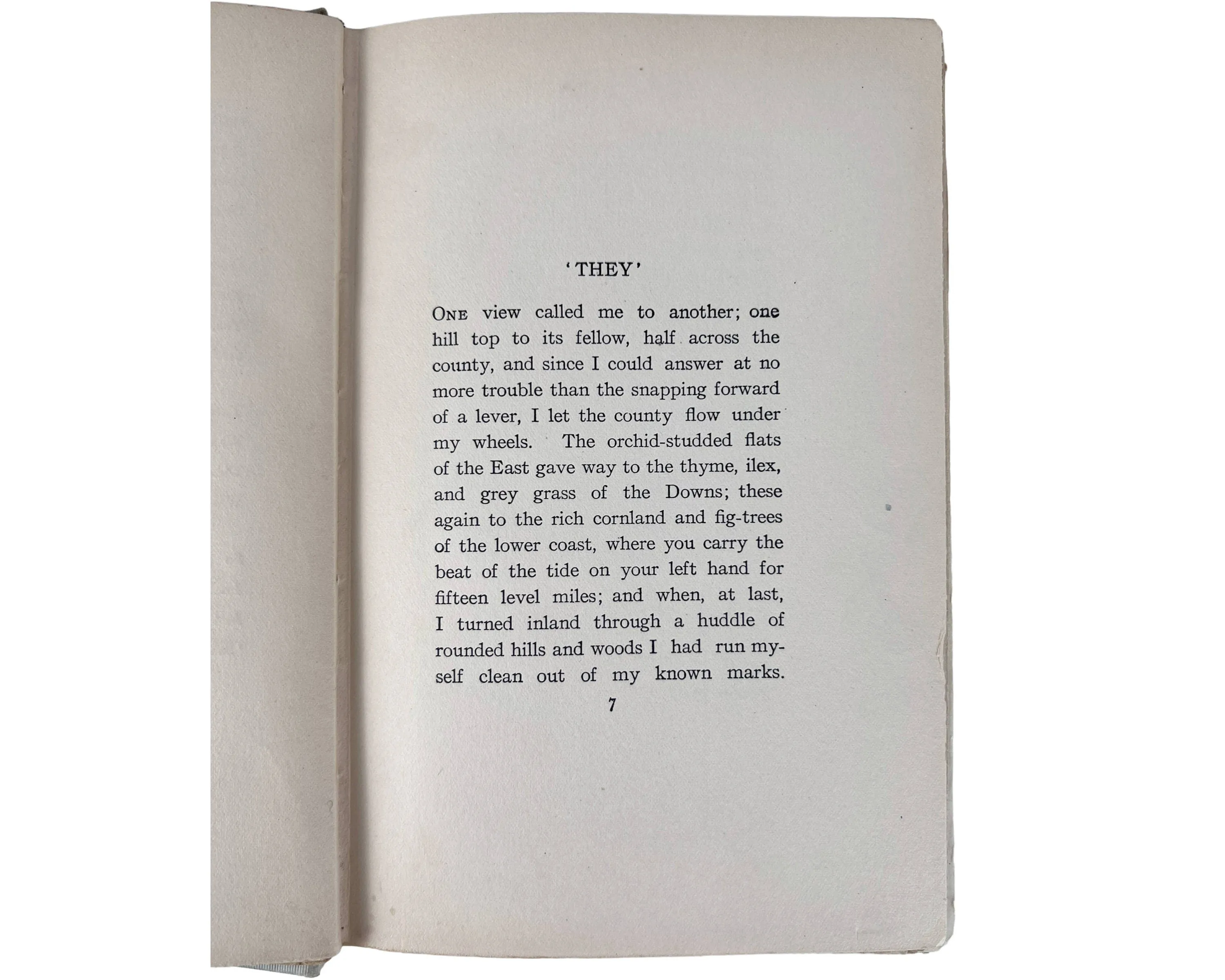 1st US Edition Book They by Rudyard Kipling 1906 Doubleday Page & Co