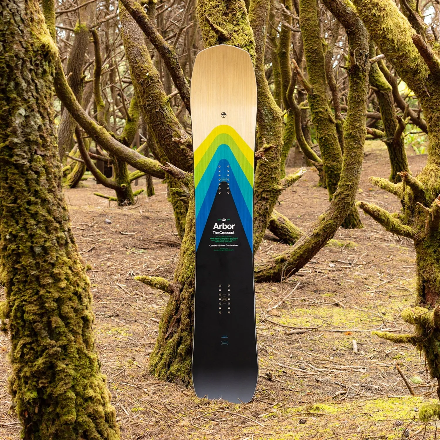 Arbor Crosscut Camber 2024 - Men's Snowboard