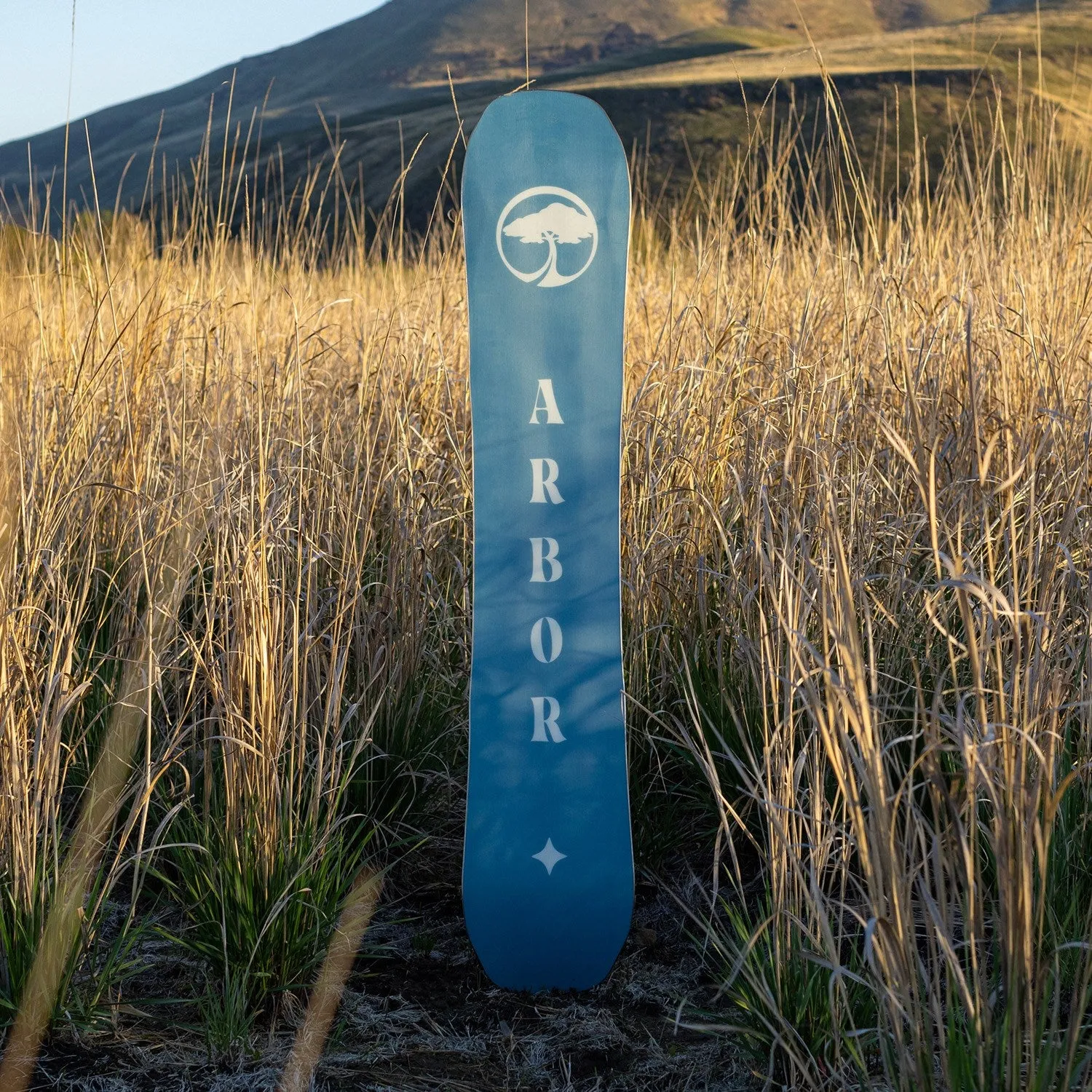Arbor Swoon Camber 2024 - Women's Snowboard