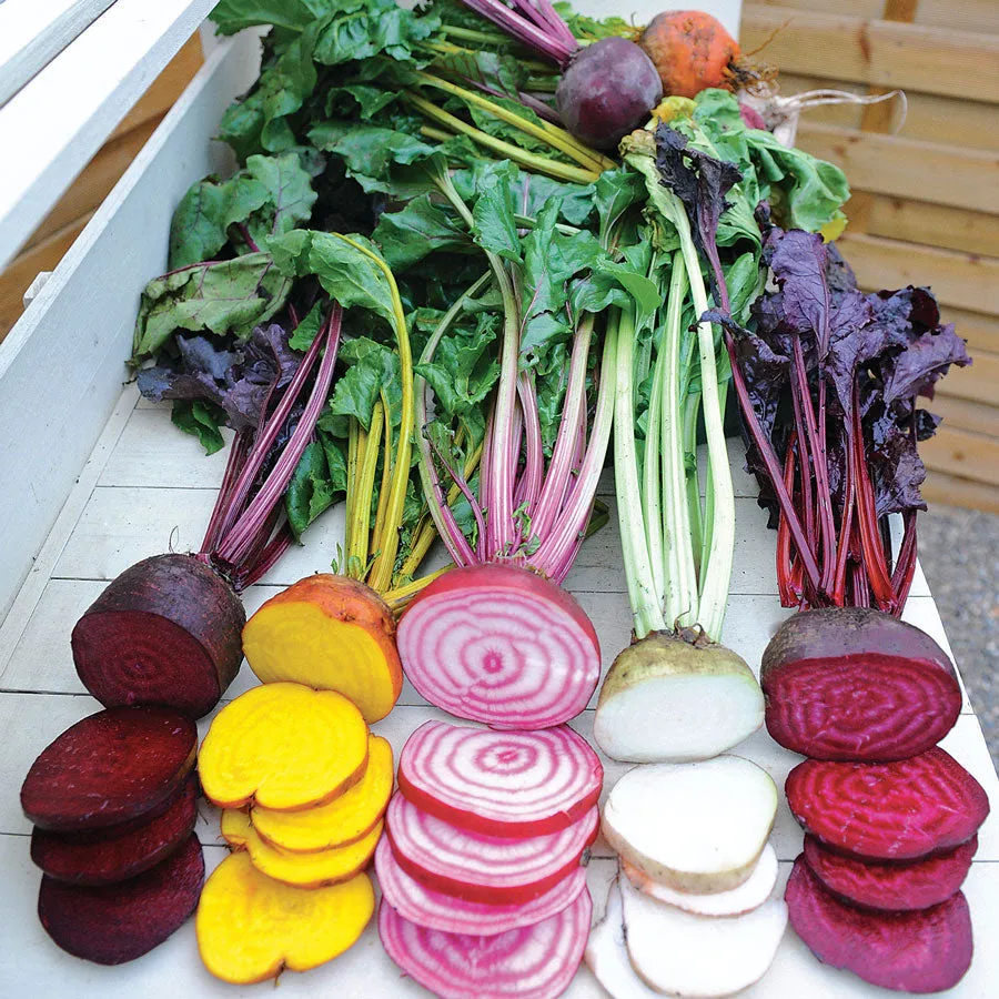 Beet - Rainbow Blend (Seeds)