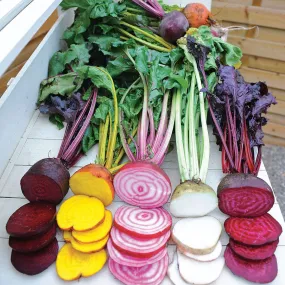 Beet - Rainbow Blend (Seeds)