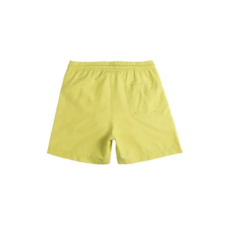 Carhartt Chase Swim Trunk