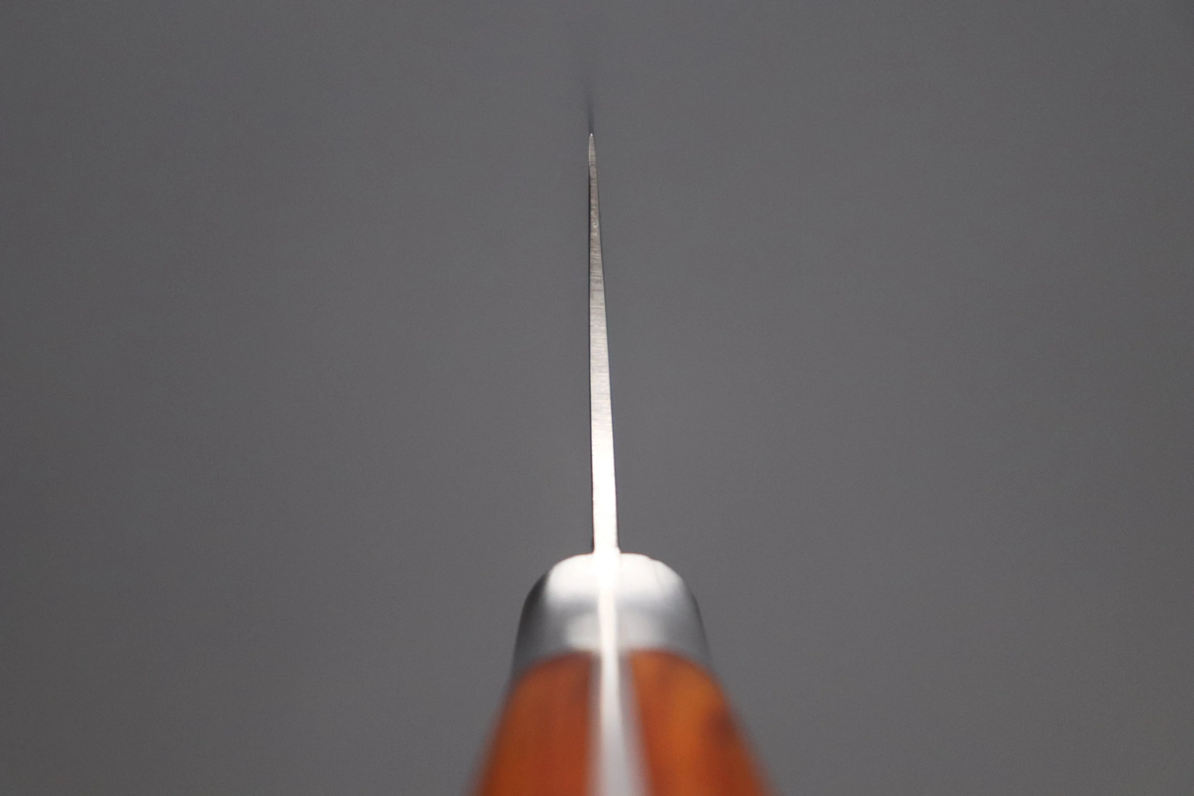 Hattori Forums FH Series Gyuto (210mm to 270mm, 3 sizes, Cocobolo Wood Handle)