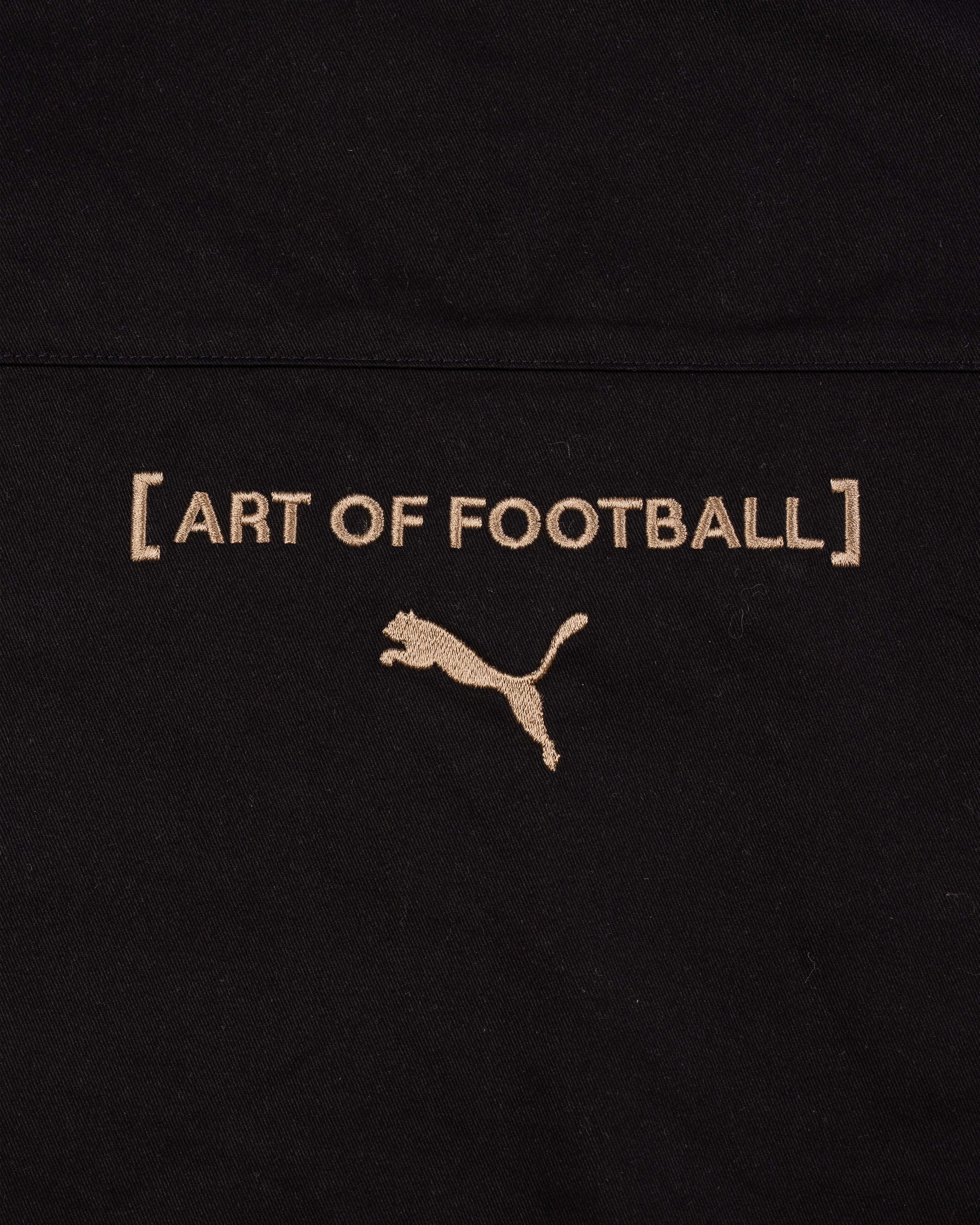 Puma x Art of Football - Drill Top