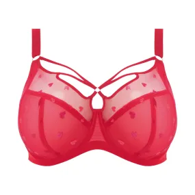 Sachi Plunge Bra