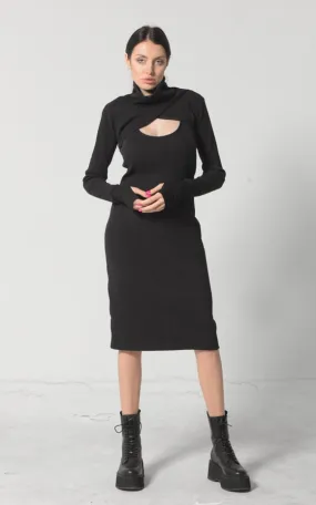 Turtle Neck Dress